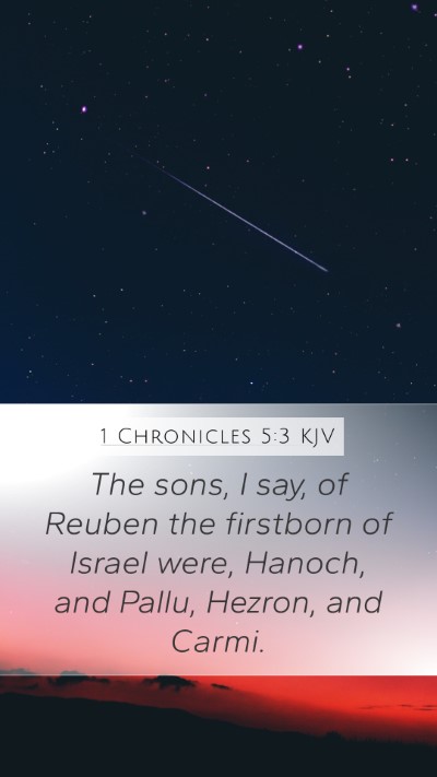 1 Chronicles 5:3 KJV Bible Verse Image