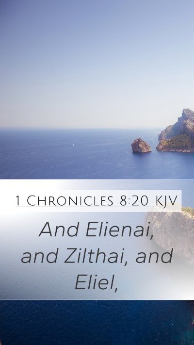 1 Chronicles 8:20 KJV Mobile Phone Wallpaper - And Elienai, and Zilthai, and - Mobile Bible Verse Wallpaper