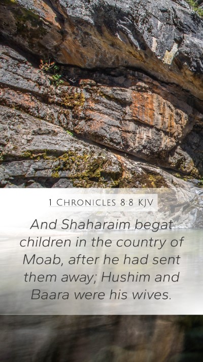 1 Chronicles 8:8 KJV Bible Verse Image