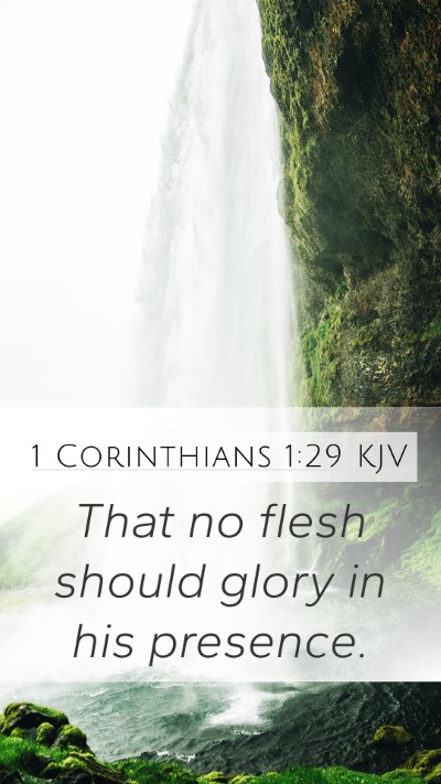 1 Corinthians 1:29 KJV Bible Verse Image