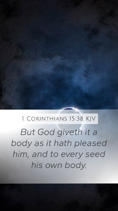 1 Corinthians 15:38 KJV Mobile Phone Wallpaper - But God giveth it a body as it hath pleased him, - Mobile Bible Verse Wallpaper