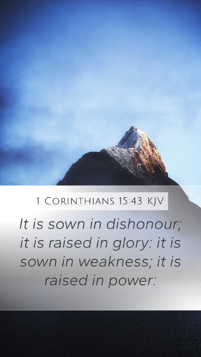 1 Corinthians 15:43 KJV Bible Verse Image