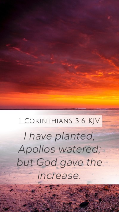 1 Corinthians 3:6 KJV Bible Verse Image