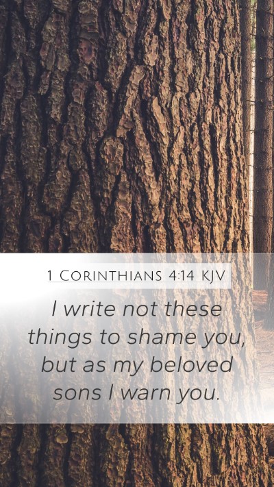 1 Corinthians 4:14 KJV Bible Verse Image