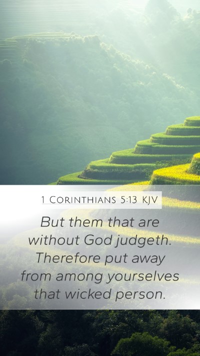 1 Corinthians 5:13 KJV Bible Verse Image