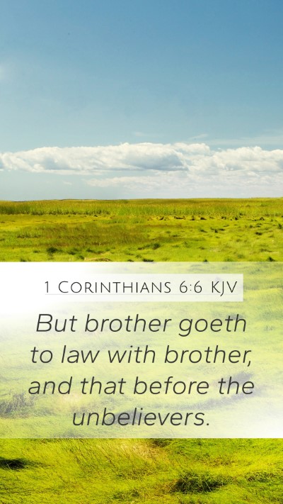 1 Corinthians 6:6 KJV Bible Verse Image
