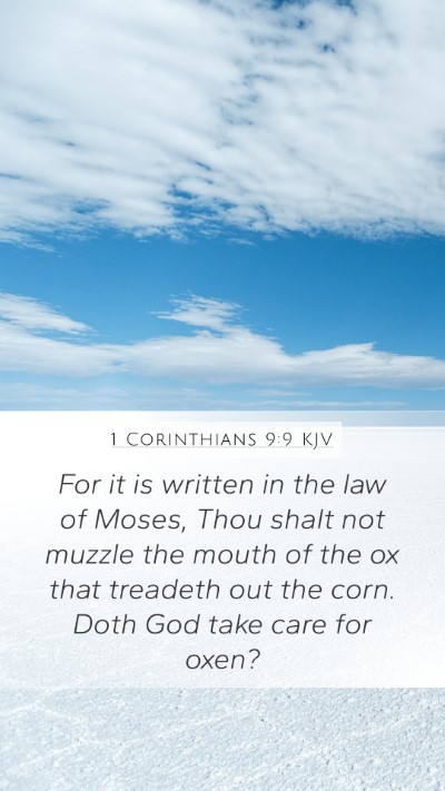 1 Corinthians 9:9 KJV Bible Verse Image