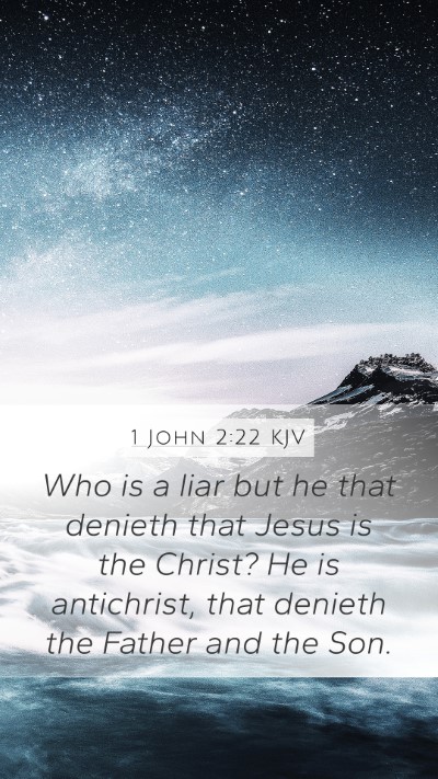 1 John 2:22 KJV Bible Verse Image