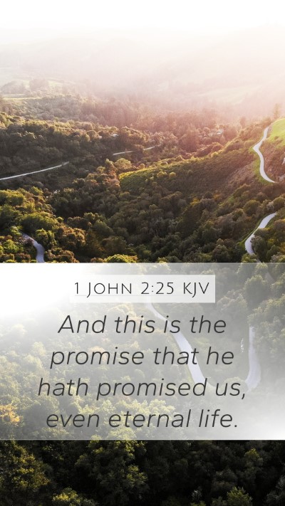 1 John 2:25 KJV Bible Verse Image