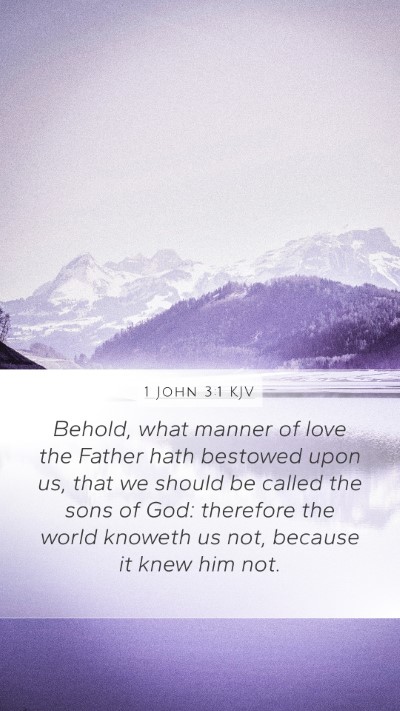 1 John 3:1 KJV Bible Verse Image