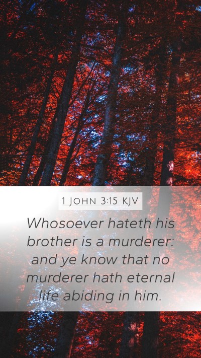 1 John 3:15 KJV Bible Verse Image