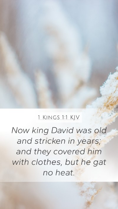 1 Kings 1:1 KJV Mobile Phone Wallpaper - Now king David was old and stricken in years; and - Mobile Bible Verse Wallpaper