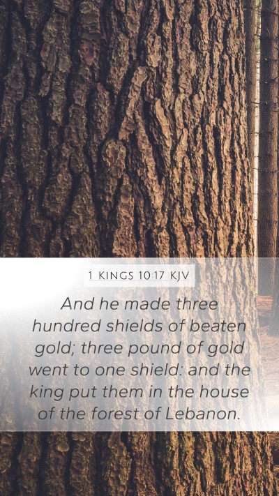 1 Kings 10:17 KJV Bible Verse Image