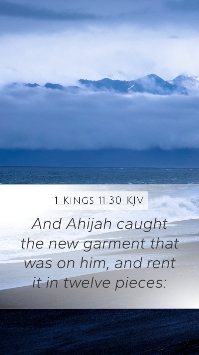 1 Kings 11:30 KJV Bible Verse Image