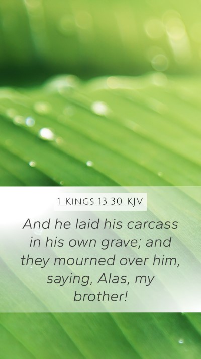 1 Kings 13:30 KJV Bible Verse Image