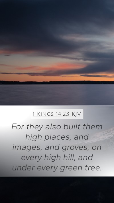 1 Kings 14:23 KJV Bible Verse Image