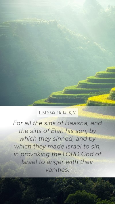 1 Kings 16:13 KJV Bible Verse Image