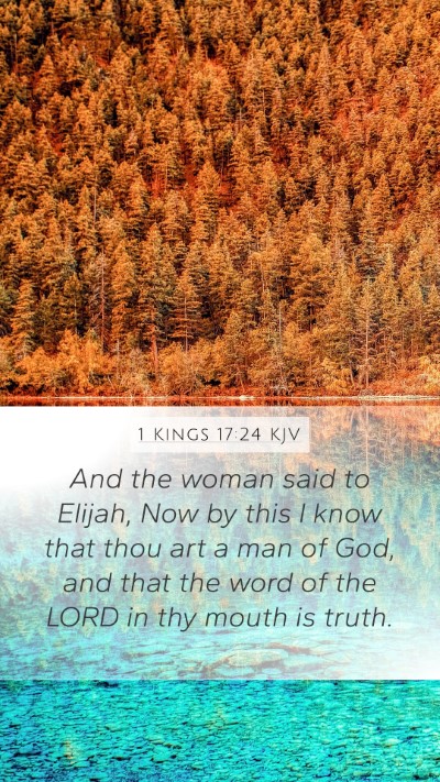 1 Kings 17:24 KJV Mobile Phone Wallpaper - And the woman said to Elijah, Now by this I know - Mobile Bible Verse Wallpaper