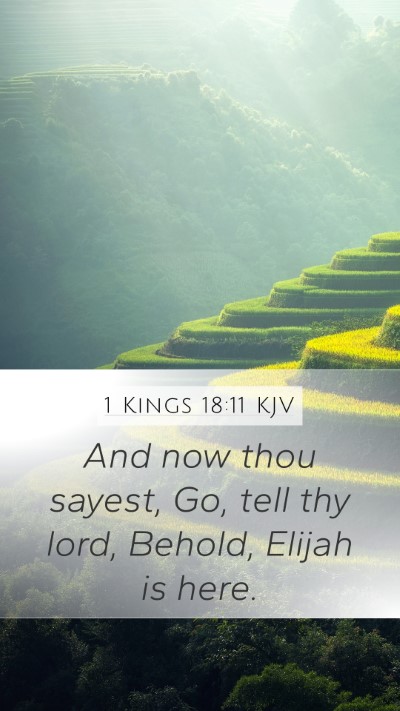 1 Kings 18:11 KJV Bible Verse Image