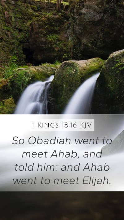 1 Kings 18:16 KJV Mobile Phone Wallpaper - So Obadiah went to meet Ahab, and told him: and - Mobile Bible Verse Wallpaper