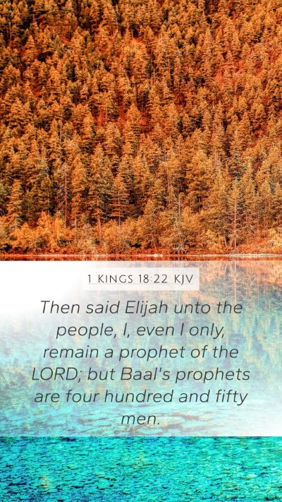 1 Kings 18:22 KJV Bible Verse Image