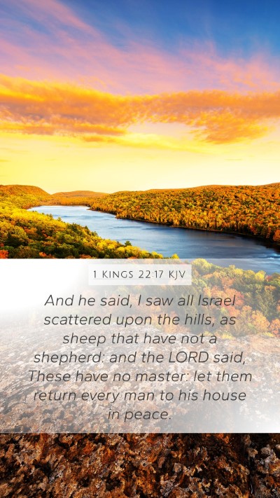 1 Kings 22:17 KJV Bible Verse Image