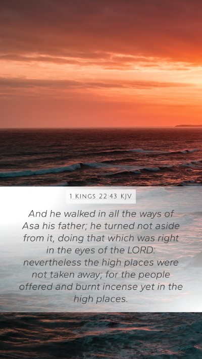 1 Kings 22:43 KJV Bible Verse Image