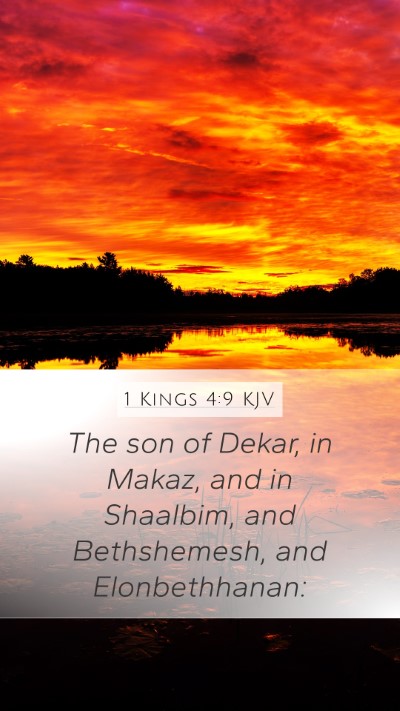 1 Kings 4:9 KJV Bible Verse Image