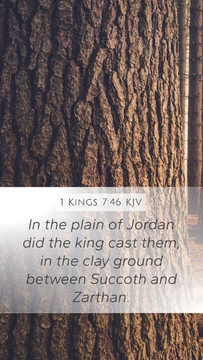 1 Kings 7:46 KJV Bible Verse Image