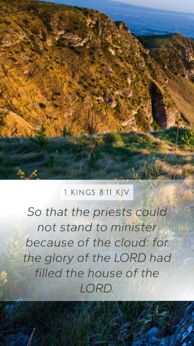 1 Kings 8:11 KJV Bible Verse Image