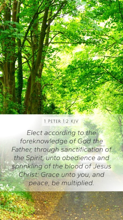 1 Peter 1:2 KJV Bible Verse Image