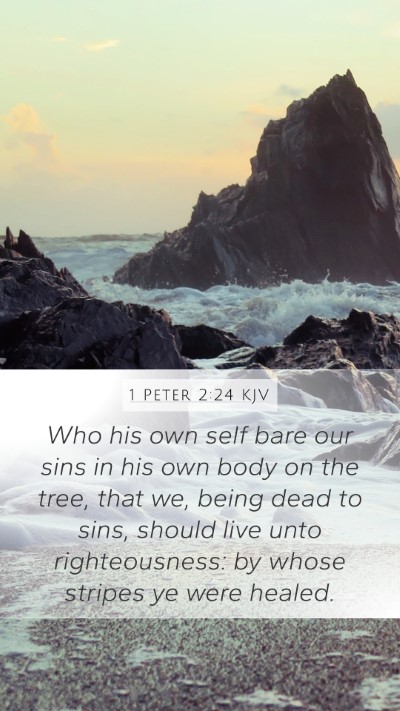 1 Peter 2:24 KJV Bible Verse Image