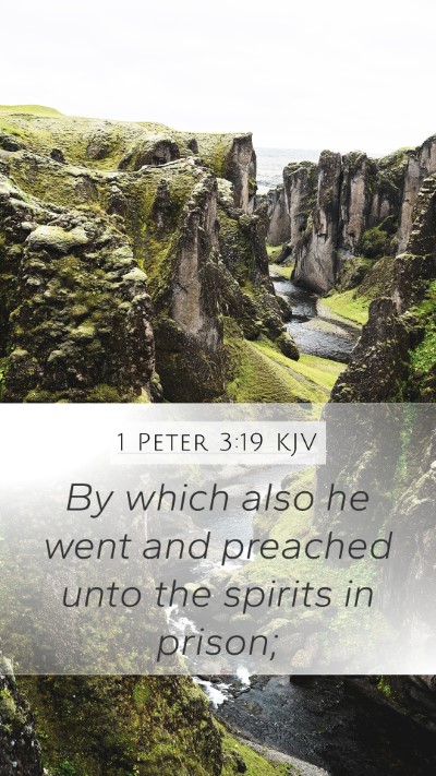 1 Peter 3:19 KJV Bible Verse Image