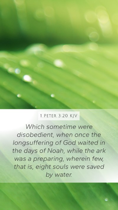 1 Peter 3:20 KJV Bible Verse Image