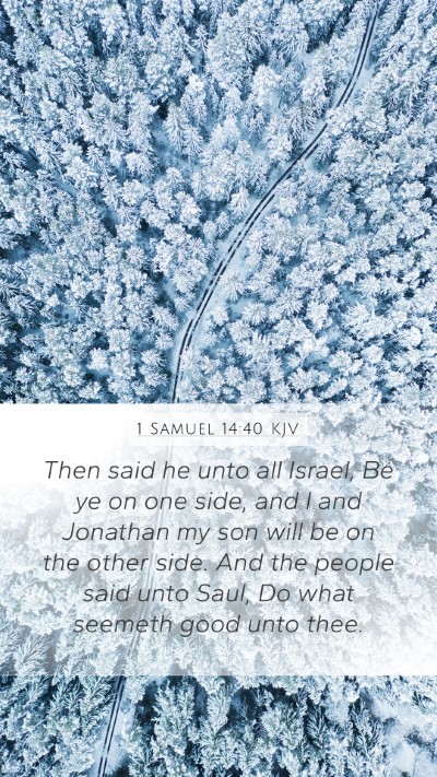 1 Samuel 14:40 KJV Mobile Phone Wallpaper - Then said he unto all Israel, Be ye on one side, - Mobile Bible Verse Wallpaper