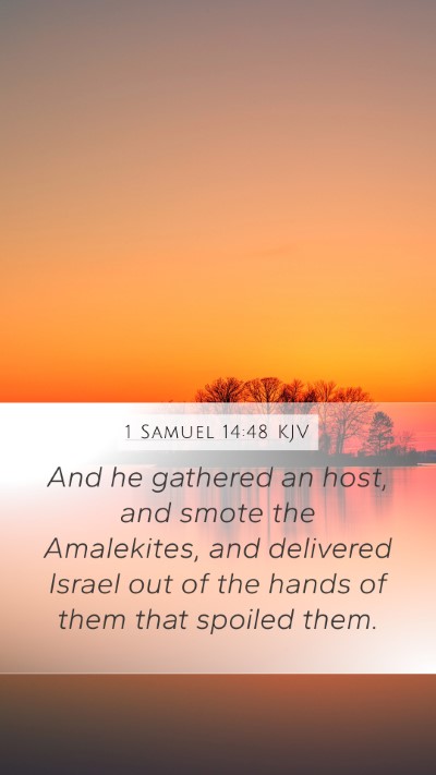 1 Samuel 14:48 KJV Bible Verse Image