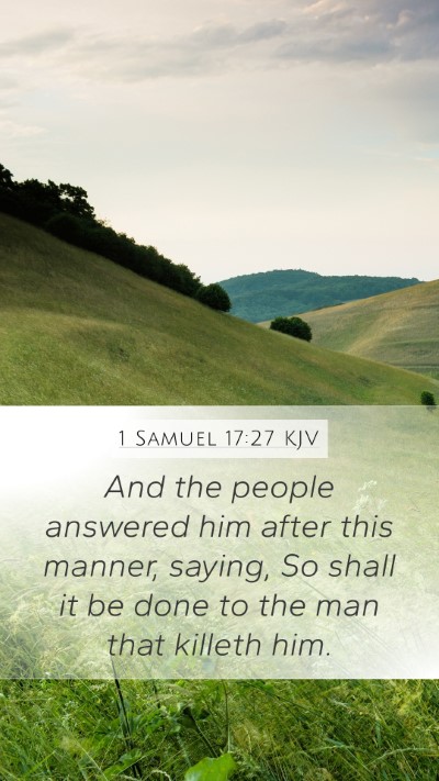 1 Samuel 17:27 KJV Mobile Phone Wallpaper - And the people answered him after this manner, - Mobile Bible Verse Wallpaper