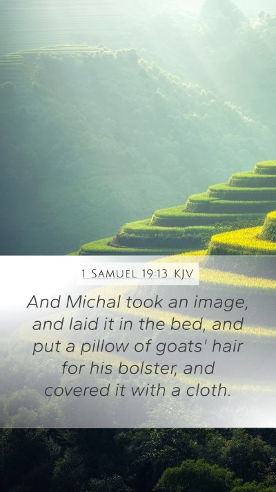 1 Samuel 19:13 KJV Bible Verse Image