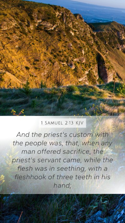 1 Samuel 2:13 KJV Bible Verse Image