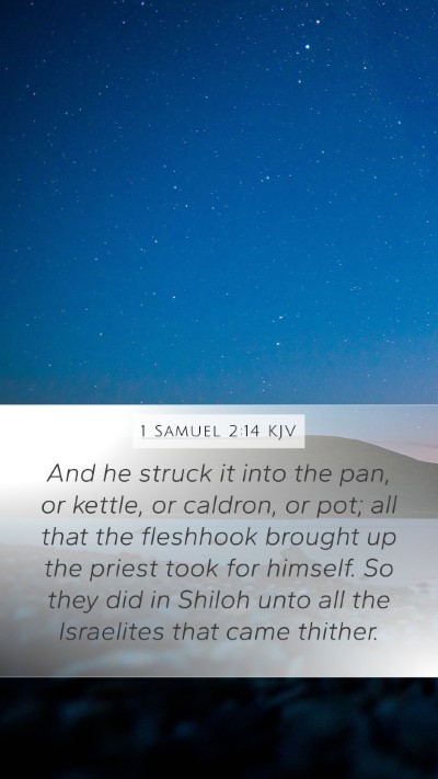 1 Samuel 2:14 KJV Mobile Phone Wallpaper - And he struck it into the pan, or kettle, or - Mobile Bible Verse Wallpaper