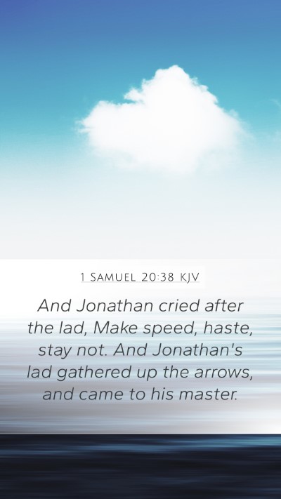 1 Samuel 20:38 KJV Bible Verse Image