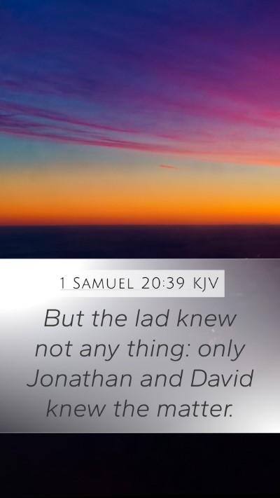 1 Samuel 20:39 KJV Mobile Phone Wallpaper - But the lad knew not any thing: only Jonathan and - Mobile Bible Verse Wallpaper
