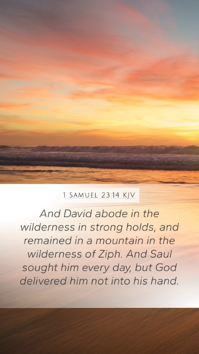 1 Samuel 23:14 KJV Bible Verse Image