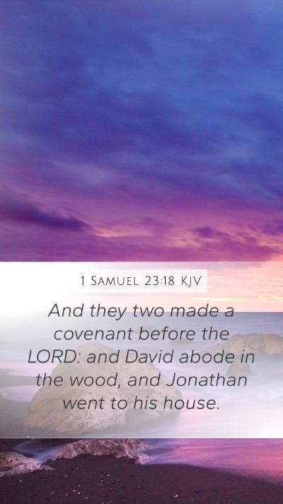 1 Samuel 23:18 KJV Bible Verse Image
