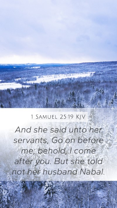 1 Samuel 25:19 KJV Bible Verse Image