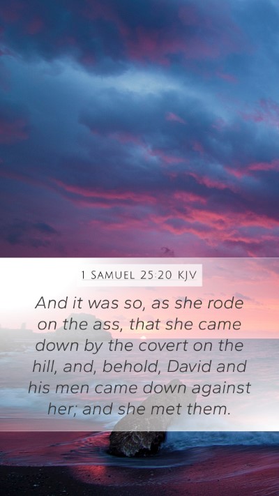 1 Samuel 25:20 KJV Mobile Phone Wallpaper - And it was so, as she rode on the ass, that she - Mobile Bible Verse Wallpaper