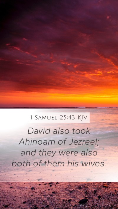 1 Samuel 25:43 KJV Mobile Phone Wallpaper - David also took Ahinoam of Jezreel; and they were - Mobile Bible Verse Wallpaper