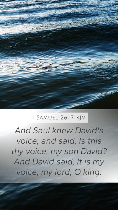 1 Samuel 26:17 KJV Bible Verse Image