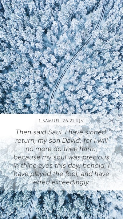 1 Samuel 26:21 KJV Bible Verse Image