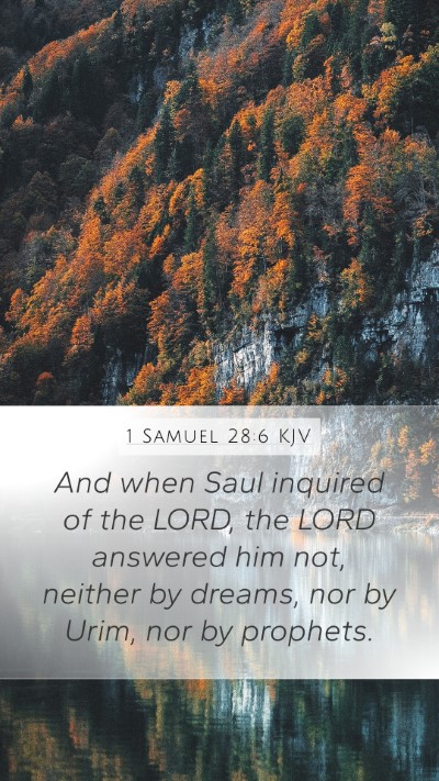 1 Samuel 28:6 KJV Bible Verse Image